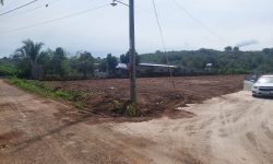 BÁN GÓC 2MT 266M2 THỔ CƯ NGAY CHỢ NẰM KHU DÂN CƯ ĐƯỜNG THÔNG CỤM KCN GIÁ 390 TRIỆU