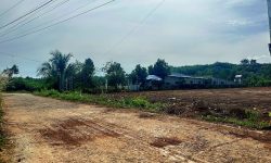 BÁN LÔ ĐẤT 1000M2 ĐẦU TƯ GIÁ RẺ NGAY KHU DÂN CƯ HIỆN HỮU – GẦN CỤM KCN GIÁ 160 TRIỆU