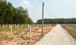 BÁN RA 609M2 ĐẤT THỔ CƯ NGAY KHU ĐÔ THỊ, KCN GIÁ RẺ CHỈ 390 TRIỆU – SẴN ĐIỆN NƯỚC
