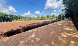 NHÀ BÁN LÔ ĐẤT (30×65=2.000m2)TÁCH 2 SỔ,SHR,350TRIỆU,SÁT DÂN,GẦN CHỢ,TRƯỜNG HỌC