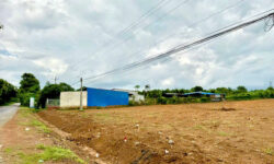 KD THUA LỖ SANG 4250M2 ĐẤT SÁT CHỢ. GIÁ 270TR (BAO SỔ) NGAY KCN CÔNG NHÂN ĐÔNG