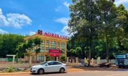 Bán 1.480M2 Đất Sào Có Thổ Cư Sẳn liền kề,Giá 225 Triệu, Đã Tách Làm 3 Sổ,Sát Nhựa,Gần Chợ