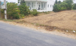 BÁN GẤP 480TRIỆU 500M2(10×50) GẦN QL13 NGAY TX BÌNH PHƯỚC, THỔ CƯ NGAY CHỢ