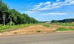 Bán gấp 190 triệu 2.200m2(20x110m) SHR ngay chợ,trường, KCN Bình Phước