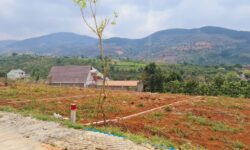 BÁN LỖ 2291M2 SỔ RIÊNG THỔ CƯ GIÁ 276TR NGAY TRƯỜNG, CHỢ T.TÂM BÌNH PHƯỚC
