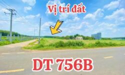Bán Lô Thổ Cư Mặt Tiền Nhựa Sát KCN,Chợ,Trường,Dân Hiện Hữu,500m2,Tách 2 Sổ(483TR/sổ 5×50)
