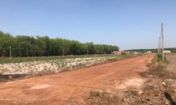 CẦN BÁN NHANH 1438M2 ĐẤT Ở NGAY TRƯỜNG CẤP 3 THỊ XÃ. GIÁ 260 TRIỆU