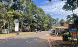 CHỈ 250 TRIỆU SỞ HỮU NGAY 1000M² ĐẤT VƯỜN – GIÁ QUÁ RẺ, CƠ HỘI CÓ 1-0-2