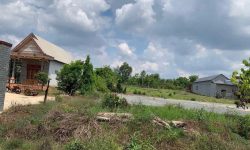 BÁN 1 SÀO ĐẤT 1.000 M2,Giá 195TRIỆU NHỰA ĐỔ VÀO 500M,SÁT DÂN,CHỢ,NHÀ MÁY,SẸC LỘ LỚN 42M